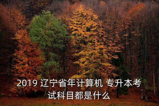 2019 遼寧省年計算機 專升本考試科目都是什么