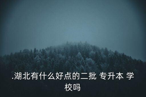 .湖北有什么好點(diǎn)的二批 專升本 學(xué)校嗎