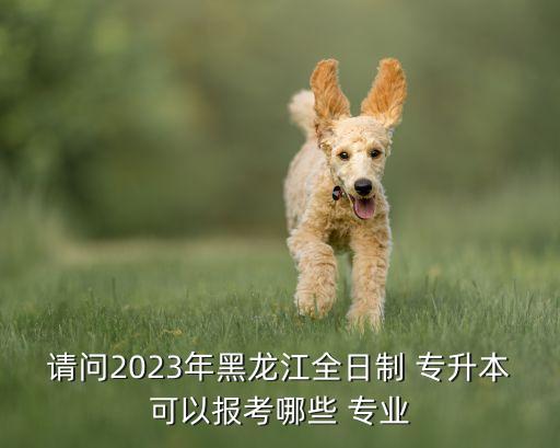 請問2023年黑龍江全日制 專升本可以報考哪些 專業(yè)