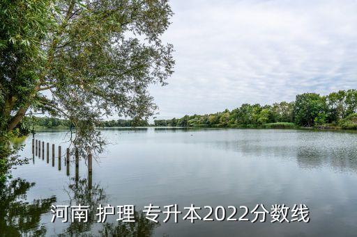  河南 護(hù)理 專升本2022分?jǐn)?shù)線