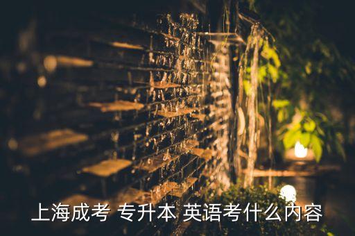 上海成考 專(zhuān)升本 英語(yǔ)考什么內(nèi)容