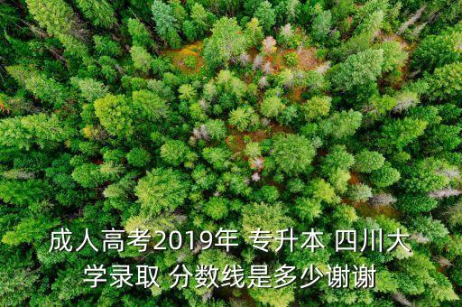 成人高考2019年 專升本 四川大學(xué)錄取 分?jǐn)?shù)線是多少謝謝