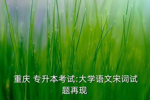  重慶 專升本考試:大學語文宋詞試題再現(xiàn)