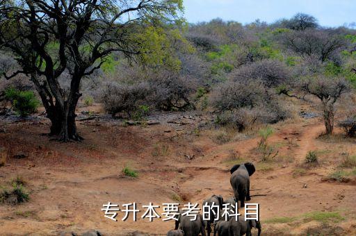 山東專升本 建筑材料