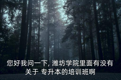 您好我問一下, 濰坊學(xué)院里面有沒有關(guān)于 專升本的培訓(xùn)班啊