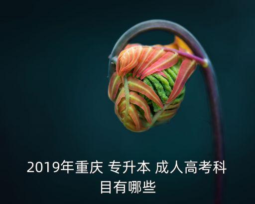 2019年重慶 專升本 成人高考科目有哪些