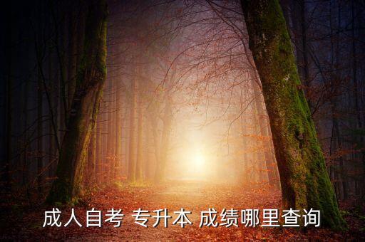 成人自考 專升本 成績(jī)哪里查詢