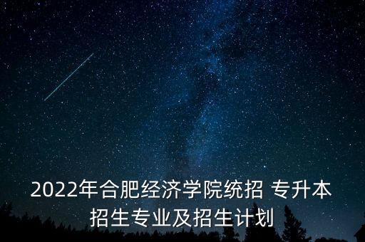 2022年合肥經(jīng)濟(jì)學(xué)院統(tǒng)招 專升本招生專業(yè)及招生計(jì)劃