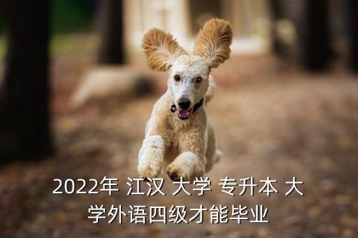 2022年 江漢 大學 專升本 大學外語四級才能畢業(yè)