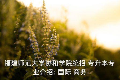 福建師范大學協(xié)和學院統(tǒng)招 專升本專業(yè)介紹: 國際 商務