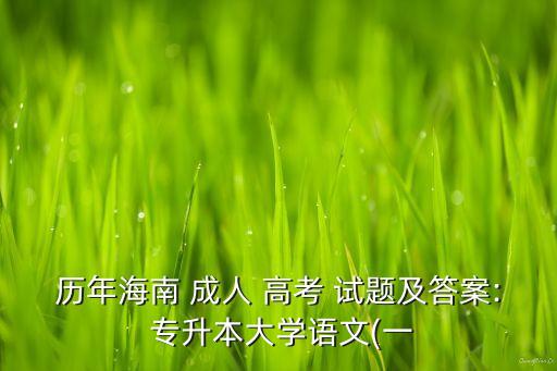 歷年海南 成人 高考 試題及答案: 專升本大學(xué)語文(一