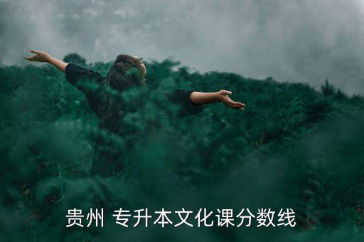 貴州 專升本文化課分數(shù)線