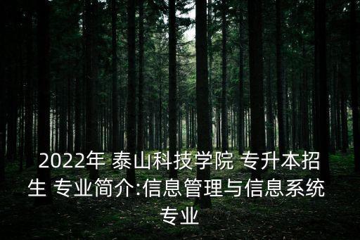 2022年 泰山科技學(xué)院 專升本招生 專業(yè)簡介:信息管理與信息系統(tǒng) 專業(yè)