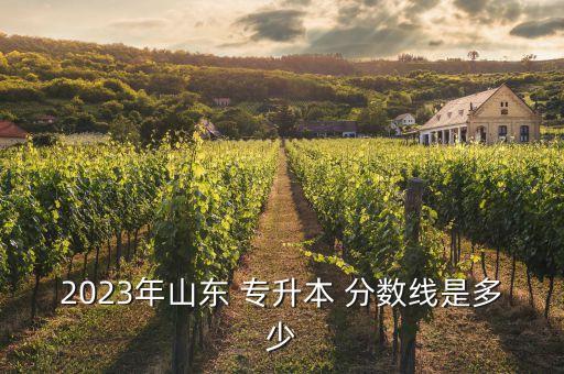 2023年山東 專升本 分數(shù)線是多少