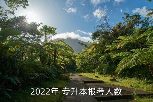 2022年 專升本報(bào)考人數(shù)