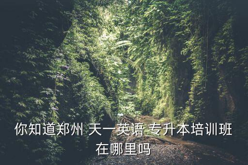 你知道鄭州 天一英語 專升本培訓(xùn)班在哪里嗎