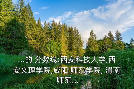 ...的 分?jǐn)?shù)線:西安科技大學(xué),西安文理學(xué)院,咸陽 師范學(xué)院, 渭南 師范...