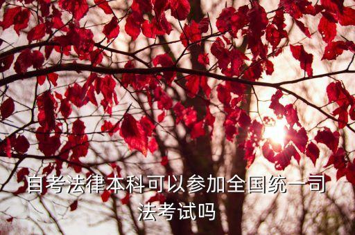  自考法律本科可以參加全國(guó)統(tǒng)一司 法考試嗎