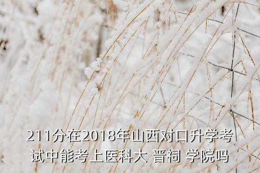 211分在2018年山西對(duì)口升學(xué)考試中能考上醫(yī)科大 晉祠 學(xué)院?jiǎn)? class=