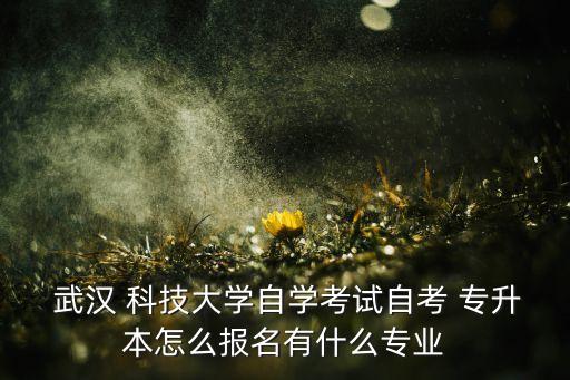 武漢科技研究生收專升本的嗎,武漢工程科技專升本分數(shù)線