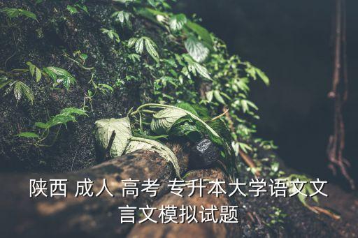 陜西 成人 高考 專升本大學(xué)語文文言文模擬試題