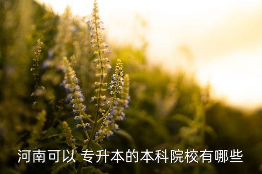 河南可以 專升本的本科院校有哪些