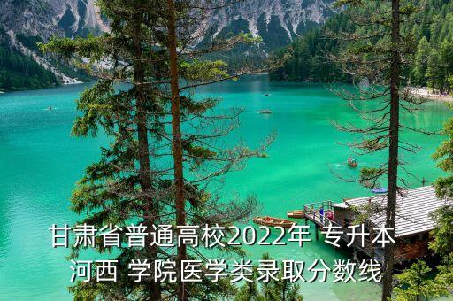 甘肅省普通高校2022年 專升本 河西 學(xué)院醫(yī)學(xué)類錄取分?jǐn)?shù)線