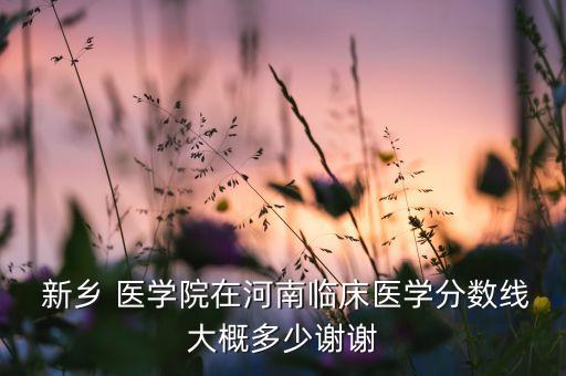  新鄉(xiāng) 醫(yī)學(xué)院在河南臨床醫(yī)學(xué)分?jǐn)?shù)線大概多少謝謝