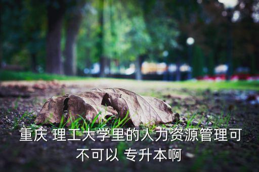  重慶 理工大學(xué)里的人力資源管理可不可以 專升本啊