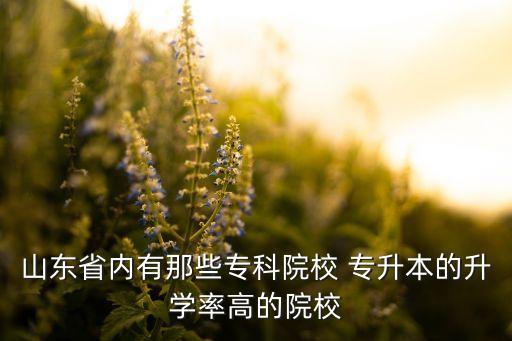 山東省內(nèi)有那些?？圃盒?專升本的升學(xué)率高的院校