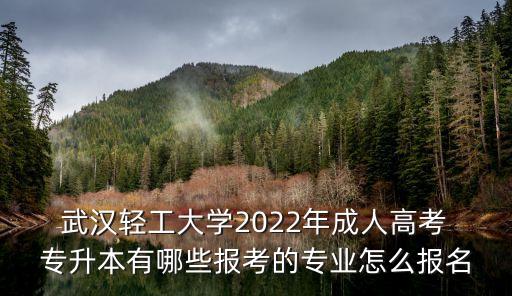 專升本武漢機械自動化,黑龍江省專升本機械自動化有多少考生