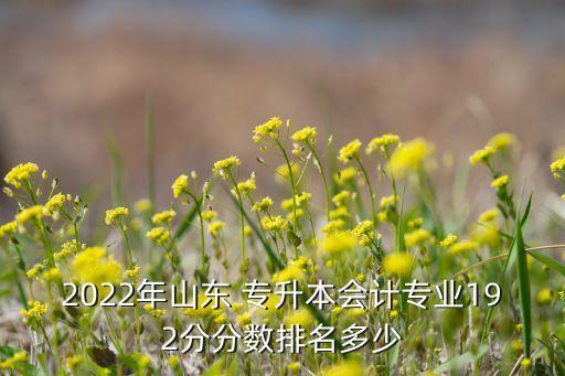 2022年山東 專升本會計專業(yè)192分分數(shù)排名多少