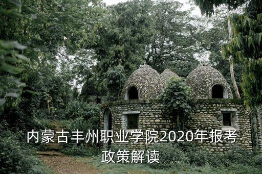  內(nèi)蒙古豐州職業(yè)學(xué)院2020年報考政策解讀