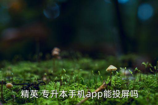  精英 專升本手機app能投屏嗎