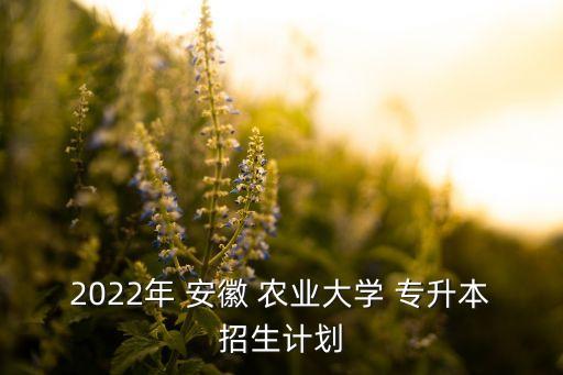 2022年 安徽 農(nóng)業(yè)大學(xué) 專升本招生計(jì)劃