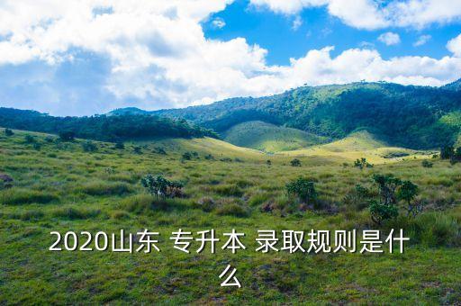 2020山東 專升本 錄取規(guī)則是什么