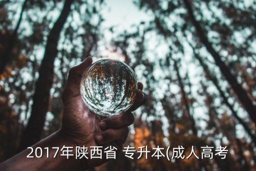 2017年陜西省 專升本(成人高考