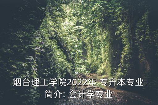 煙臺理工學院2022年 專升本專業(yè)簡介: 會計學專業(yè)