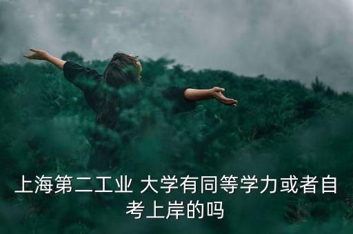 上海第二工業(yè) 大學(xué)有同等學(xué)力或者自考上岸的嗎