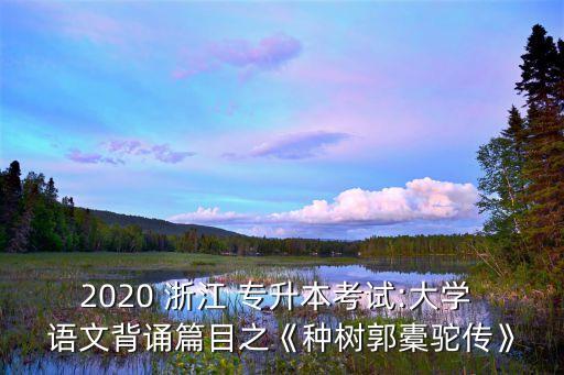 2020 浙江 專升本考試:大學(xué) 語文背誦篇目之《種樹郭橐駝傳》