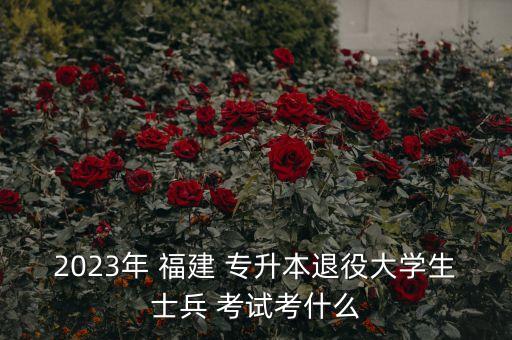 2023年 福建 專升本退役大學(xué)生士兵 考試考什么