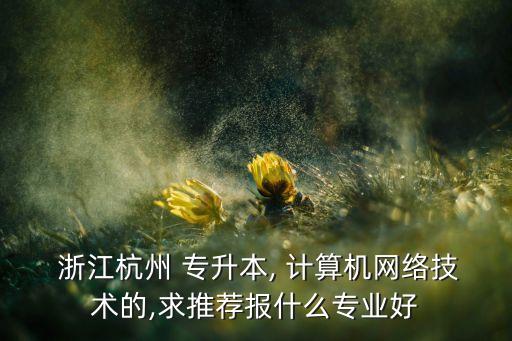  浙江杭州 專升本, 計(jì)算機(jī)網(wǎng)絡(luò)技術(shù)的,求推薦報(bào)什么專業(yè)好