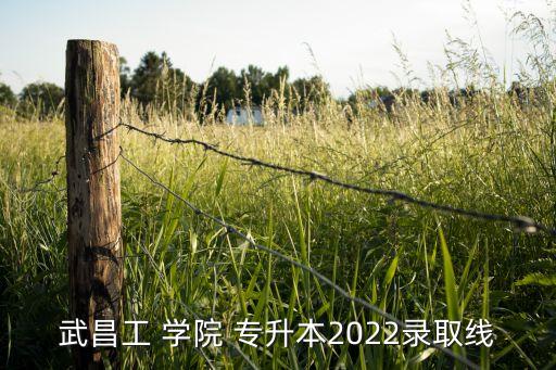 武昌工 學(xué)院 專升本2022錄取線