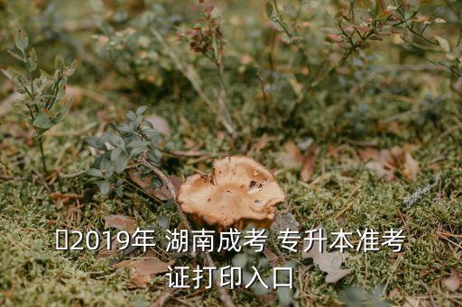 ?2019年 湖南成考 專升本準(zhǔn)考證打印入口