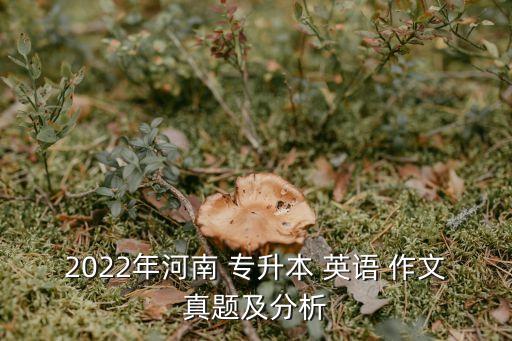 2022年河南 專升本 英語 作文真題及分析