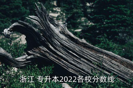  浙江 專升本2022各校分數(shù)線