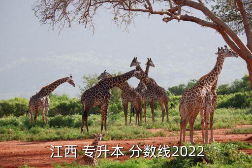  江西 專升本 分?jǐn)?shù)線2022