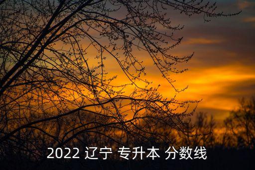 2022 遼寧 專升本 分?jǐn)?shù)線