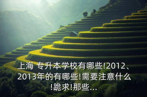 2013上海應用技術學院專升本錄取名單,上海應用技術學院研究生錄取名單