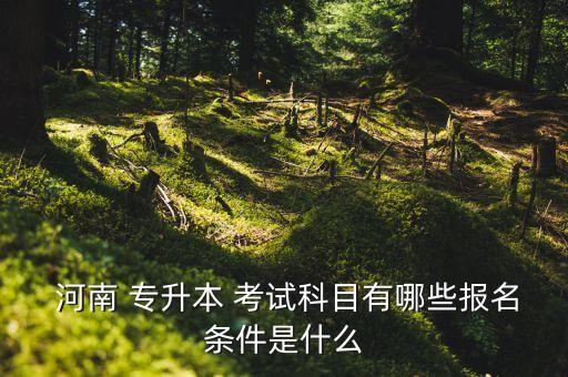  河南 專升本 考試科目有哪些報(bào)名條件是什么